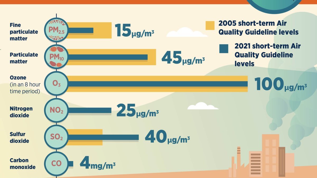 Global Air Pollution Surged in 2021, Most Cities Fail WHO Standards